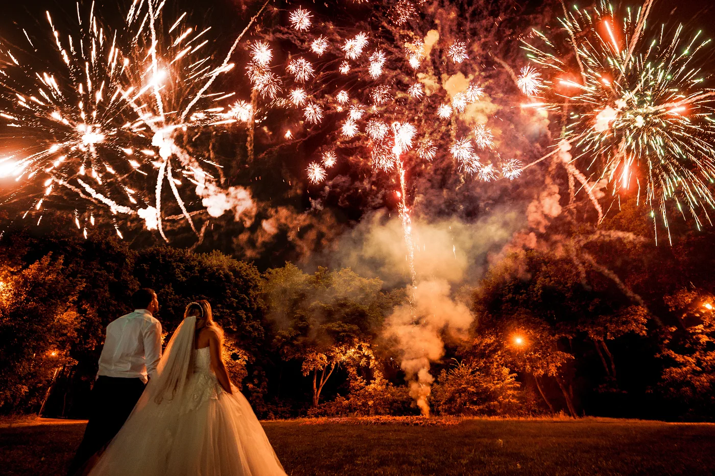 The couple watching the fireworks over the park late in the evening