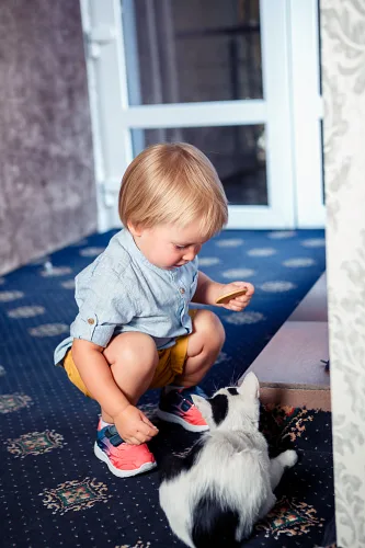 Danny 1 year — First birthday, IMGM5740