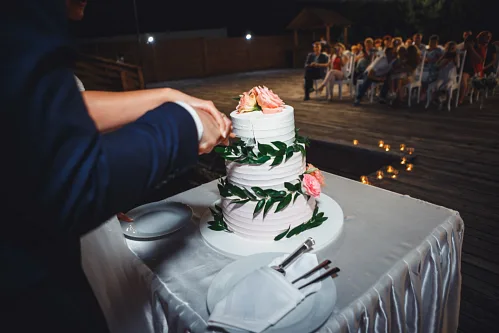 Lisa and Anton — Wedding story, photo 113