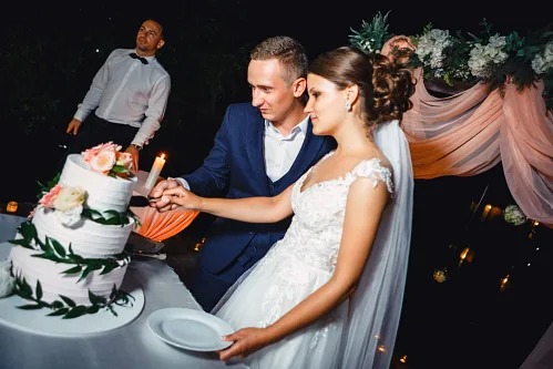 Lisa and Anton — Wedding story, photo 114