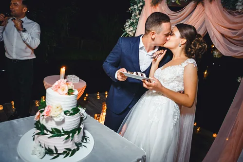 Lisa and Anton — Wedding story, photo 117