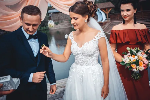 Lisa and Anton — Wedding story, photo 76