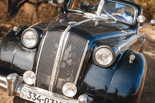 Tanya and Konstantin — Retro wedding, wed 0047