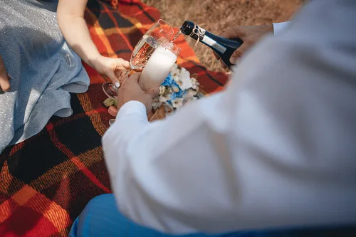 Tanya and Konstantin — Retro wedding, wed 0111