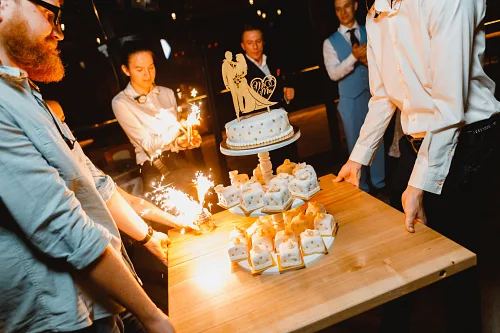 Tanya and Konstantin — Retro wedding, wed 0242