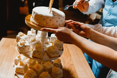 Tanya and Konstantin — Retro wedding, wed 0245