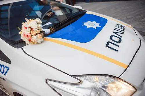 Polina and Alex — Police wedding, photo 25