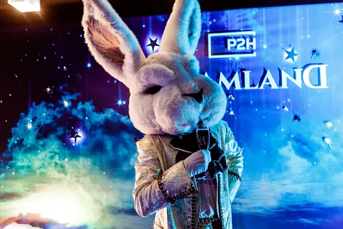 P2H IT company — Corporate party, photo 3