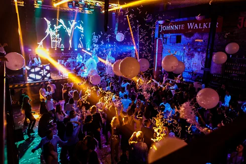 Zone3000 — New Year corporate party, photo 228