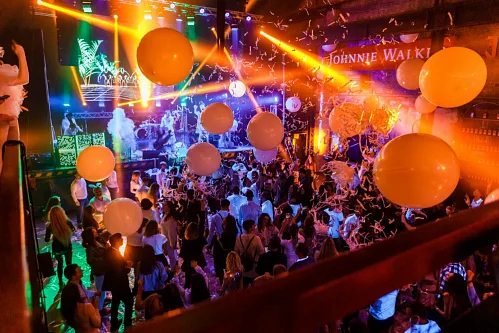 Zone3000 — New Year corporate party, photo 238