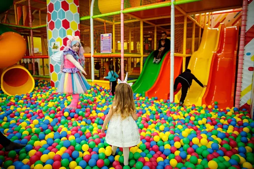 Sonya 4 years — Kids party, photo 50