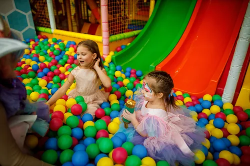 Sonya 4 years — Kids party, photo 62