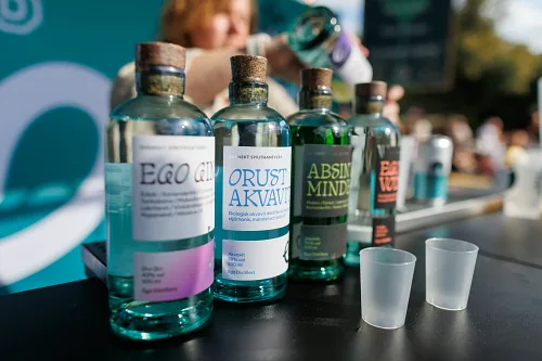 Street Food Festival — Kulturkalas 2025, photo 30