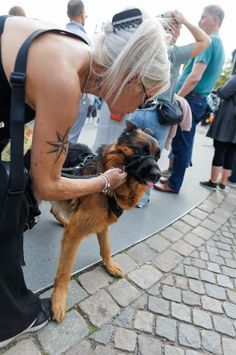 Street Food Festival — Kulturkalas 2025, photo 117